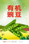 豌豆