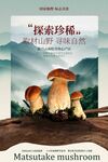 松茸菌美食宣传海报