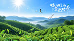 茶山