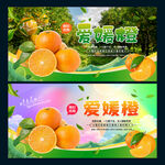 爱媛橙