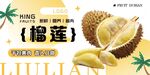 新鲜榴莲果肉展示banner