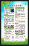预防狂犬病知识海报