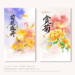 赏菊花