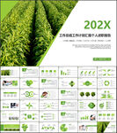 中国烟草局工作总结汇报PPT