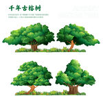 榕树插画