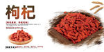 枸杞