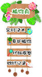 植物养护指示牌  植物角