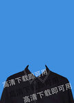 女士证件照衬衫图片
