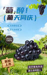 葡萄海报