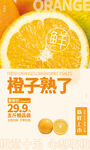 橙子海报