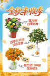 花卉丰收季