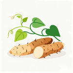 山药矢量插画素材