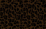 豹纹图案背景纹理