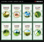 林业局宣传展板