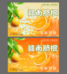 赣南脐橙宣传海报