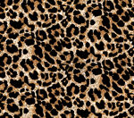 豹纹图案纹理背景