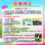 引体向上锻炼知识与展示