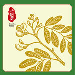 决明子植物手绘插画图案设计