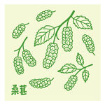 手绘桑葚图案设计元素