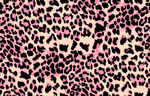 豹纹图案纹理背景图