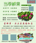 当季鲜果宣传页展示