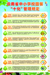 云南省中小学校园餐十化管理规定