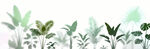雾气磨砂膜效果绿植贴图
