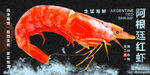 阿根廷红虾