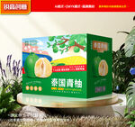 青柚包装 柚子礼盒