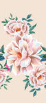 手绘花 玫瑰花 