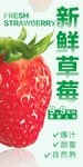 草莓 