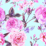 水彩绘粉色花卉图案