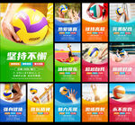 排球展板图片