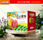 柚子包装 蜜柚礼盒