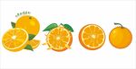 橙子 橘子 沙糖桔