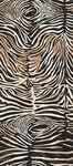 斑马纹理图案