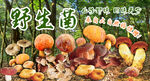 野生菌广告