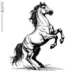 跃起的骏马钢笔画人立马铅笔画