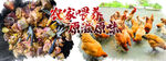  鸡肉海报 