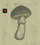 手绘蘑菇插画