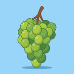 清爽绿葡萄插画