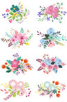 多彩水彩花卉图案集合