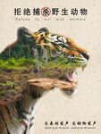 保护野生动物海报