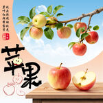 苹果 