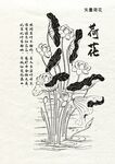 矢量线描手绘荷花