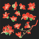 木绵花广州市花