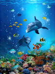 海底世界 海豚与多彩鱼类
