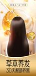 草本养发 30天见证黑发奇迹