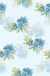 蓝白花卉水彩图案背景