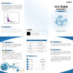 科技报告封面展示 画册 说明书